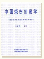 9170金沙集团 知识产权 专著