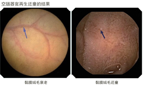 9170金沙(第一娱乐)娱城官网入口