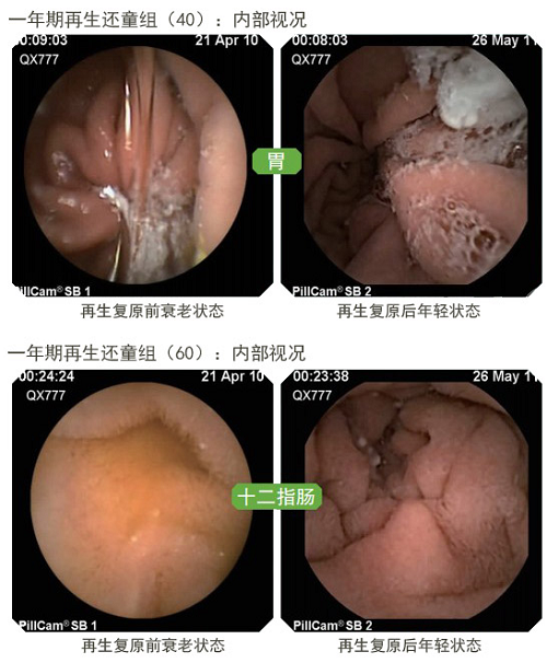 9170金沙(第一娱乐)娱城官网入口