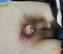 9170金沙(第一娱乐)娱城官网入口