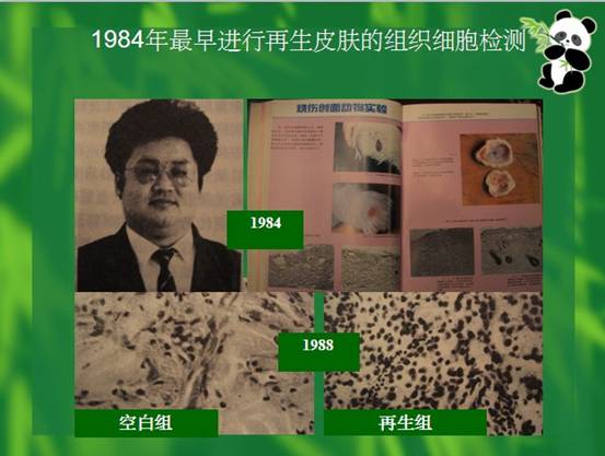 9170金沙(第一娱乐)娱城官网入口
