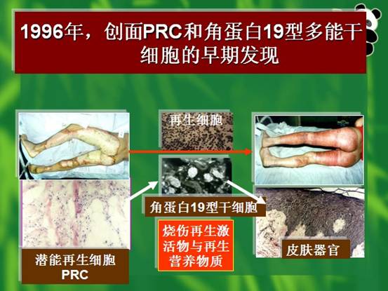9170金沙(第一娱乐)娱城官网入口
