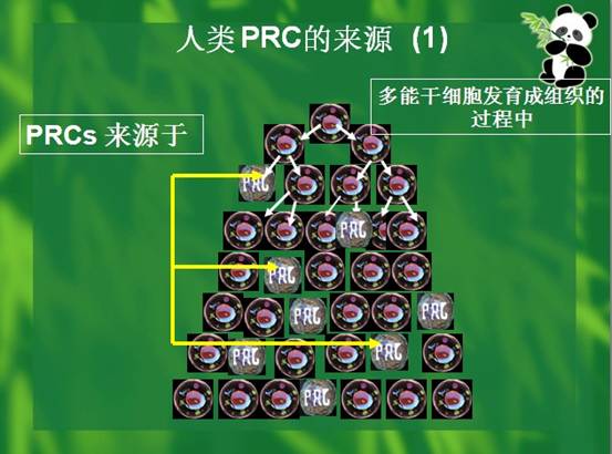 9170金沙(第一娱乐)娱城官网入口