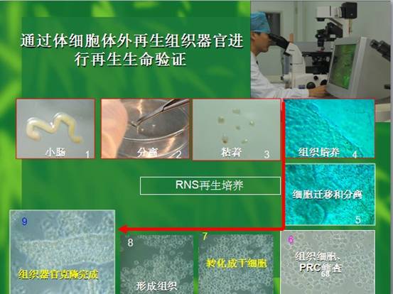 9170金沙(第一娱乐)娱城官网入口