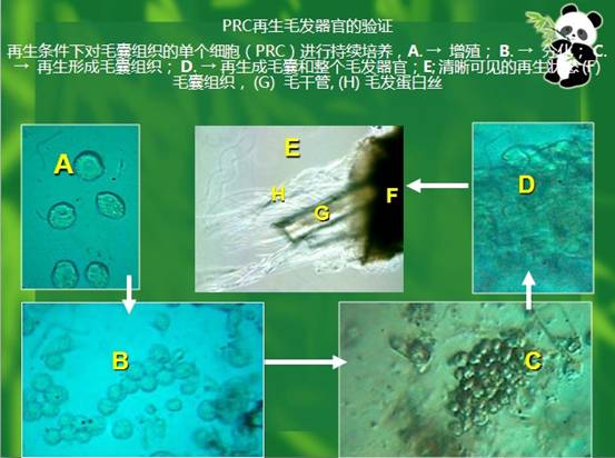 9170金沙(第一娱乐)娱城官网入口