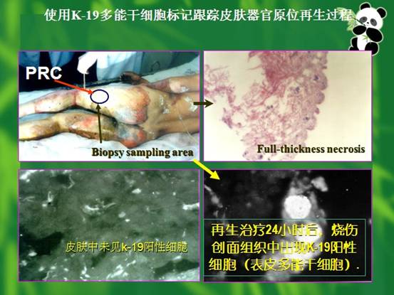 9170金沙(第一娱乐)娱城官网入口
