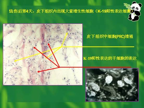 9170金沙(第一娱乐)娱城官网入口