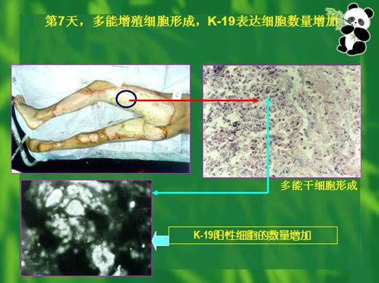 9170金沙(第一娱乐)娱城官网入口