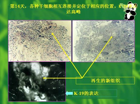 9170金沙(第一娱乐)娱城官网入口