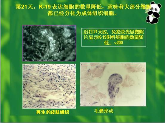 9170金沙(第一娱乐)娱城官网入口