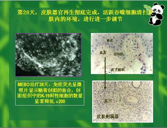 9170金沙(第一娱乐)娱城官网入口