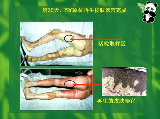 9170金沙(第一娱乐)娱城官网入口