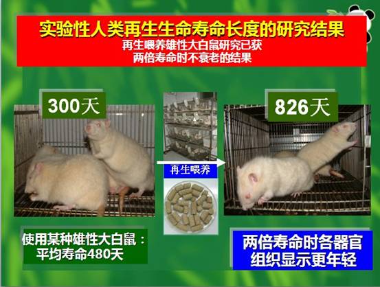 9170金沙(第一娱乐)娱城官网入口