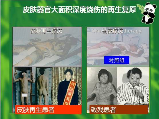 9170金沙(第一娱乐)娱城官网入口