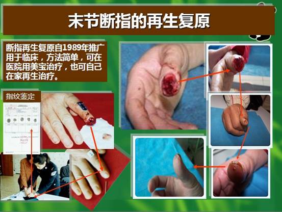 9170金沙(第一娱乐)娱城官网入口