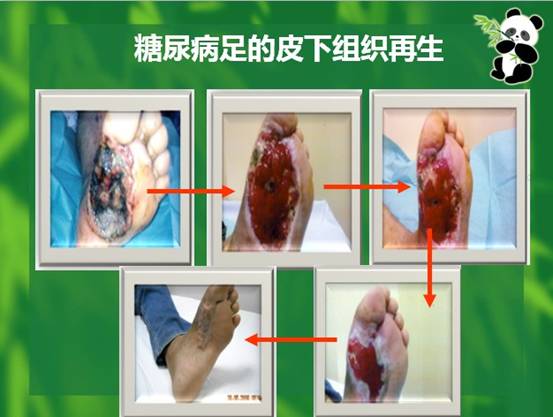9170金沙(第一娱乐)娱城官网入口