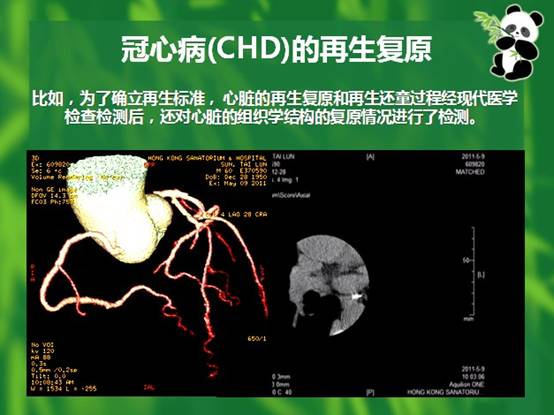 9170金沙(第一娱乐)娱城官网入口