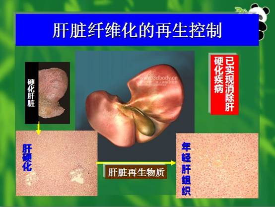 9170金沙(第一娱乐)娱城官网入口