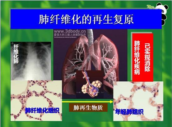 9170金沙(第一娱乐)娱城官网入口