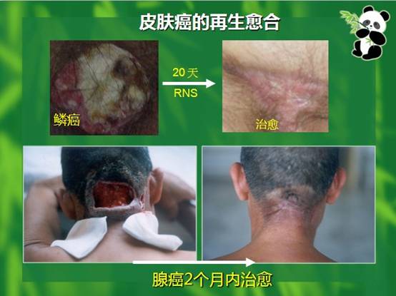 9170金沙(第一娱乐)娱城官网入口