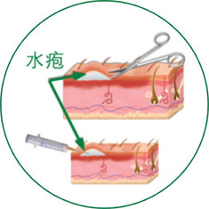 9170金沙(第一娱乐)娱城官网入口