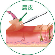 9170金沙(第一娱乐)娱城官网入口