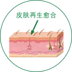 9170金沙(第一娱乐)娱城官网入口