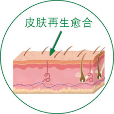 9170金沙(第一娱乐)娱城官网入口