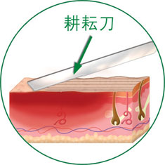 9170金沙(第一娱乐)娱城官网入口