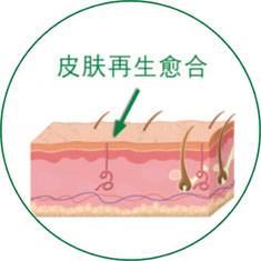 9170金沙(第一娱乐)娱城官网入口