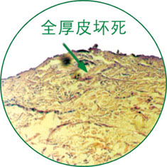 9170金沙(第一娱乐)娱城官网入口