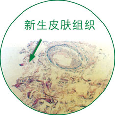 9170金沙(第一娱乐)娱城官网入口