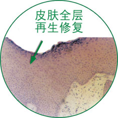 9170金沙(第一娱乐)娱城官网入口