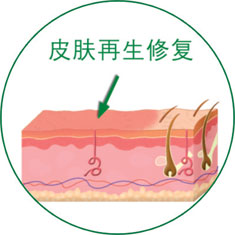 9170金沙(第一娱乐)娱城官网入口