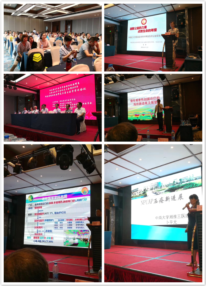 9170金沙(第一娱乐)娱城官网入口