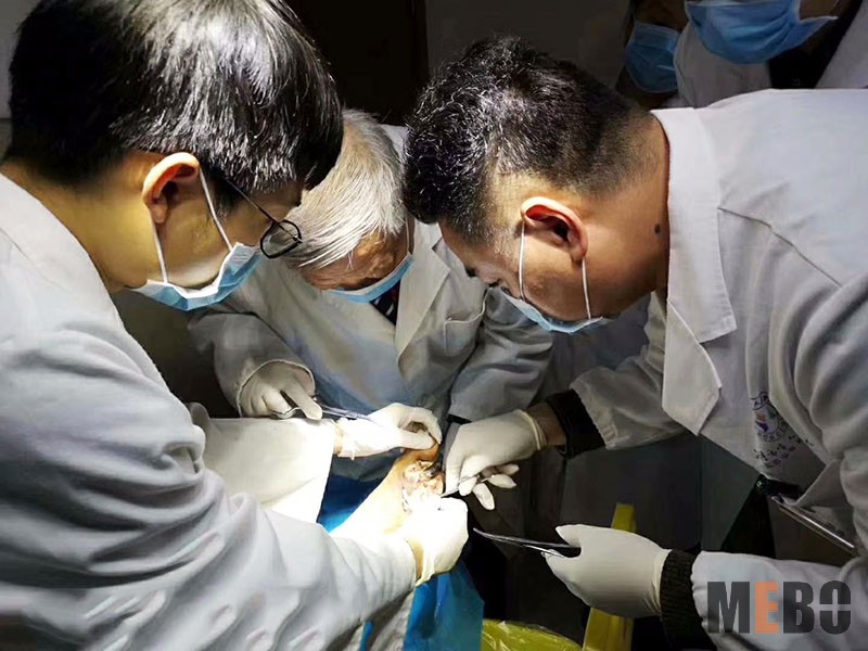 9170金沙(第一娱乐)娱城官网入口