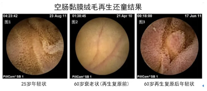 9170金沙(第一娱乐)娱城官网入口