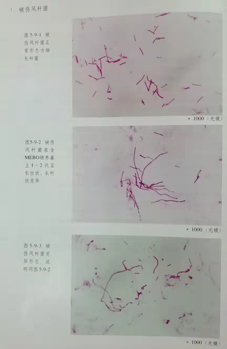 9170金沙(第一娱乐)娱城官网入口