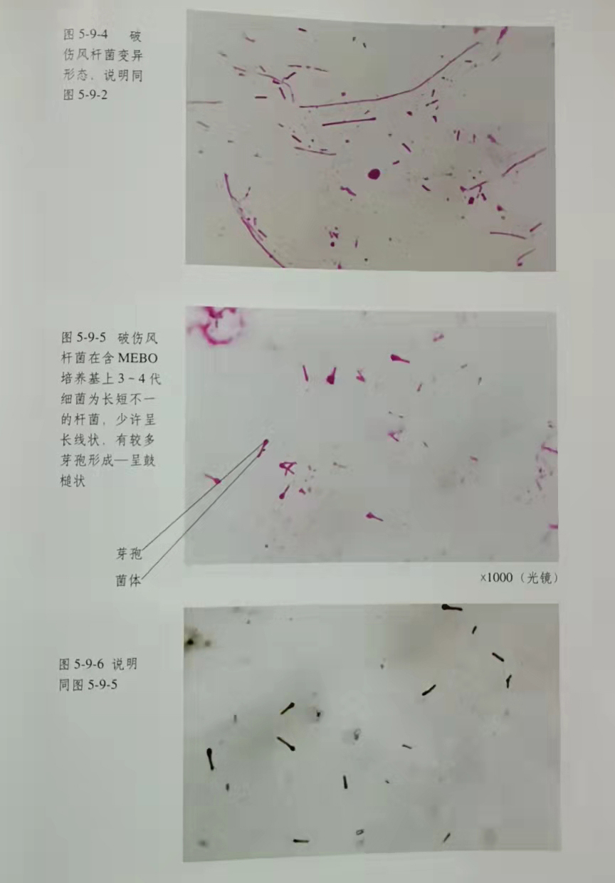 9170金沙(第一娱乐)娱城官网入口