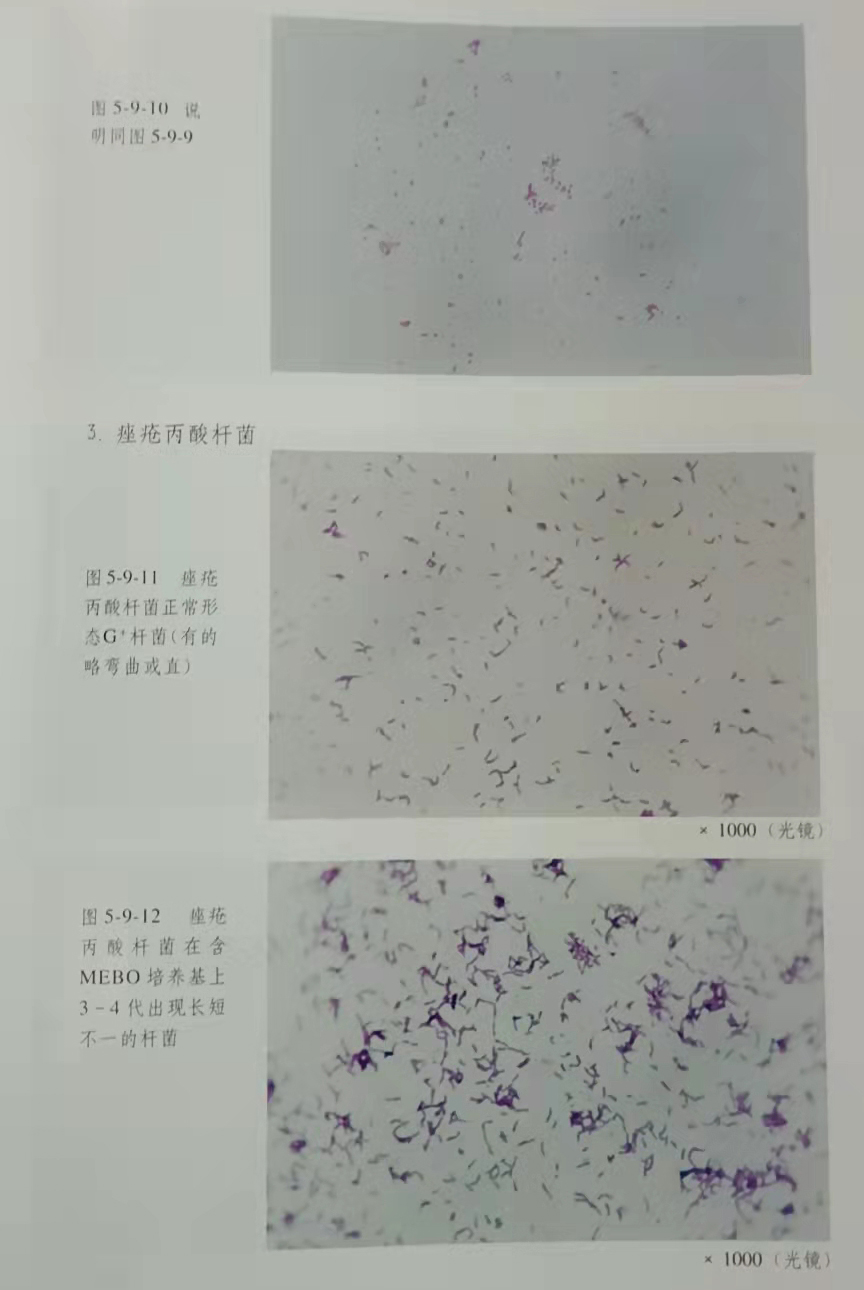 9170金沙(第一娱乐)娱城官网入口