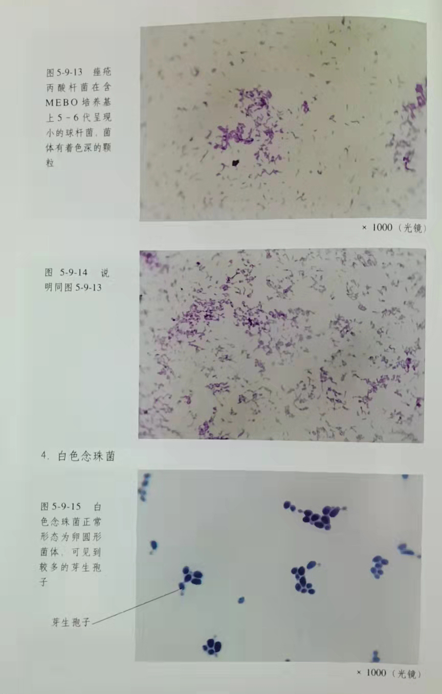 9170金沙(第一娱乐)娱城官网入口