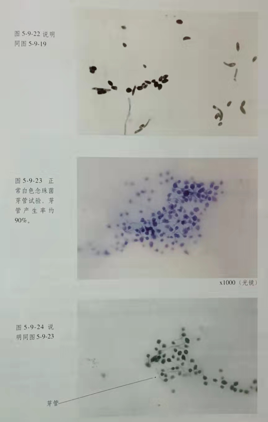 9170金沙(第一娱乐)娱城官网入口