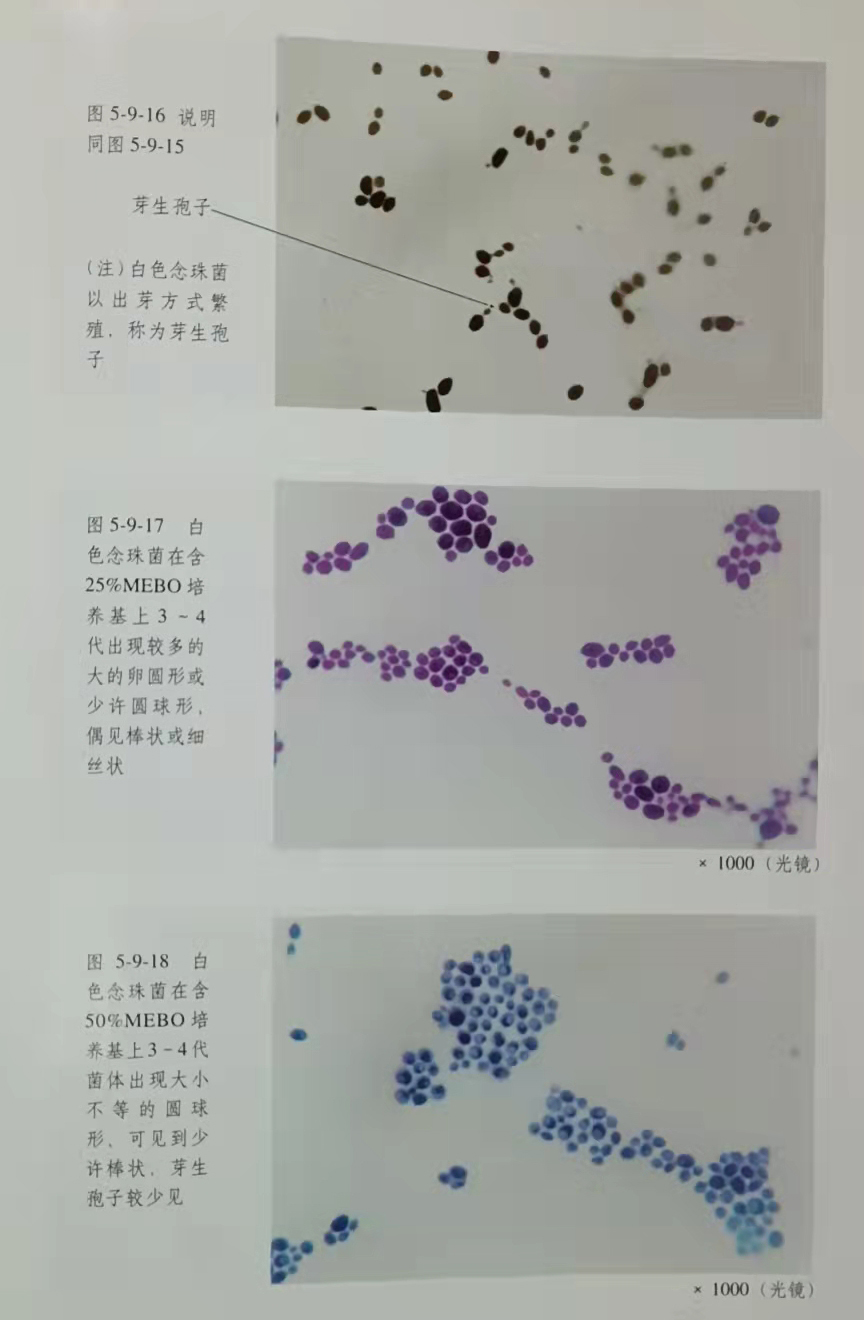 9170金沙(第一娱乐)娱城官网入口