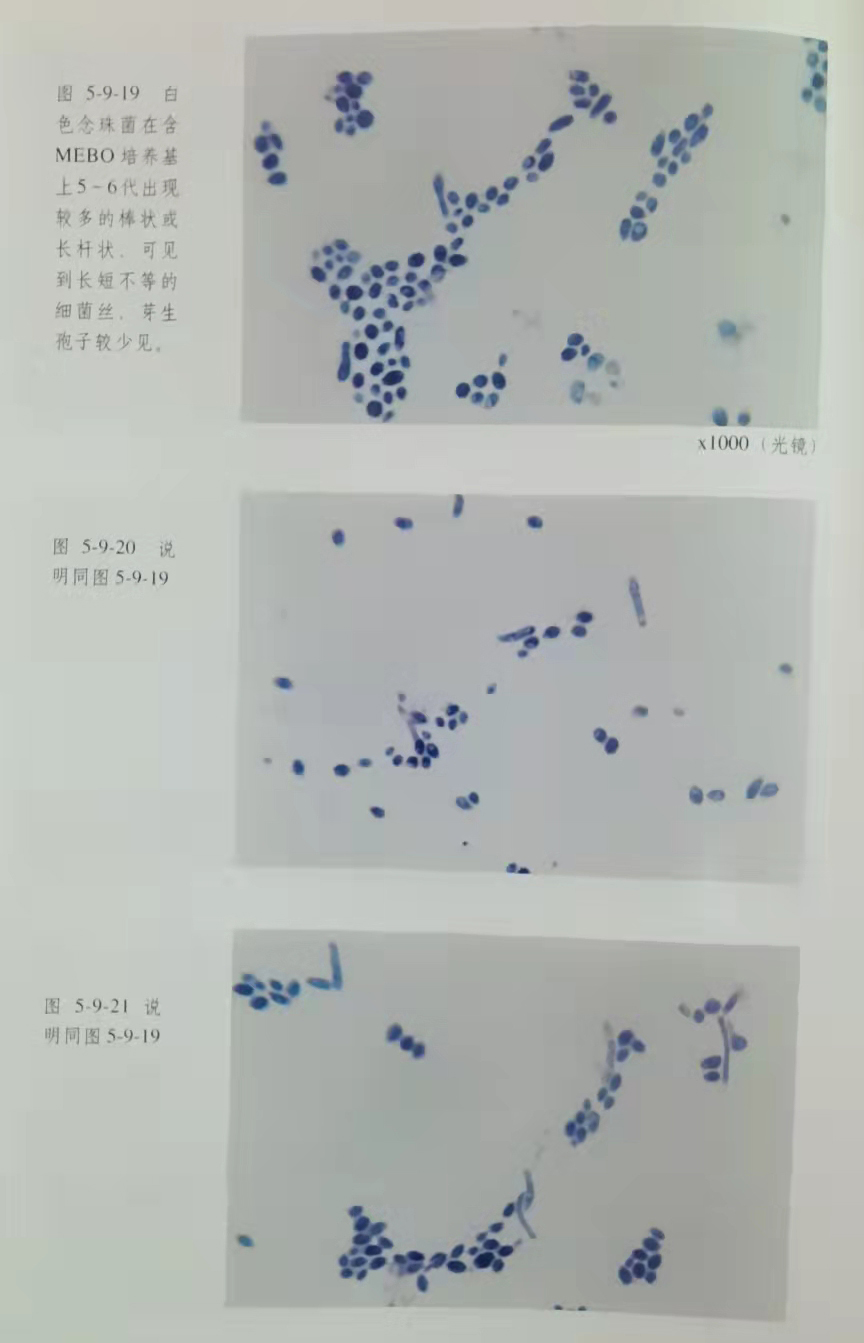 9170金沙(第一娱乐)娱城官网入口