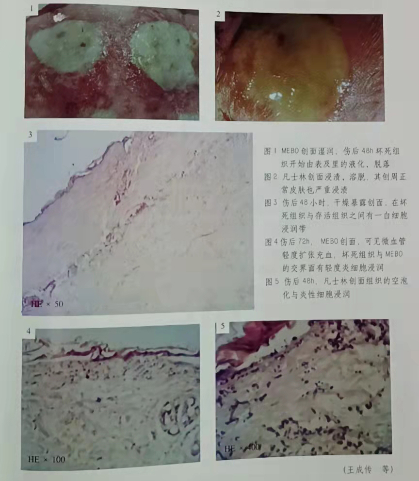 9170金沙(第一娱乐)娱城官网入口