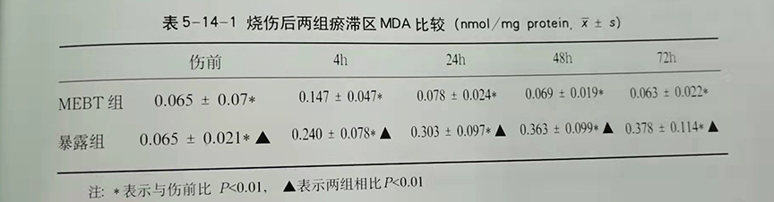 9170金沙(第一娱乐)娱城官网入口