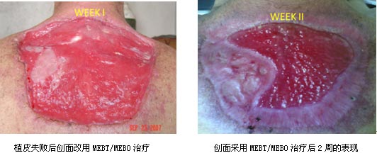 9170金沙(第一娱乐)娱城官网入口