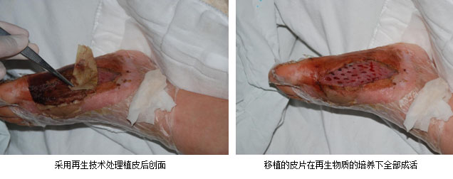 9170金沙(第一娱乐)娱城官网入口