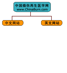 9170金沙集团_9170金沙国际集团网站全新改版