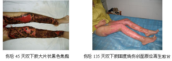 9170金沙(第一娱乐)娱城官网入口